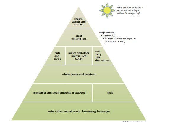 Amino Mantra Vegan Food Pyramid